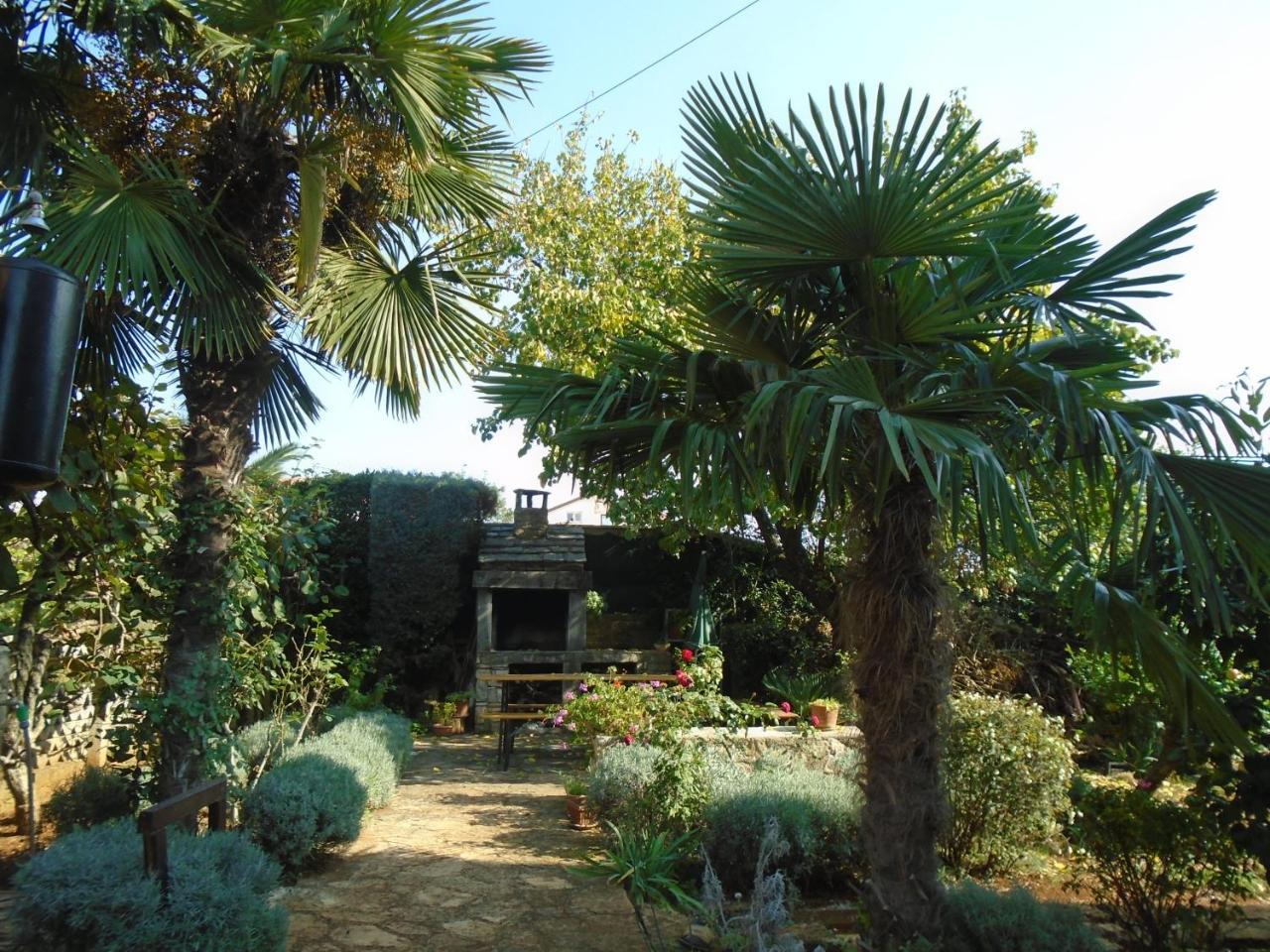 Villa Maria Novigrad  Luaran gambar